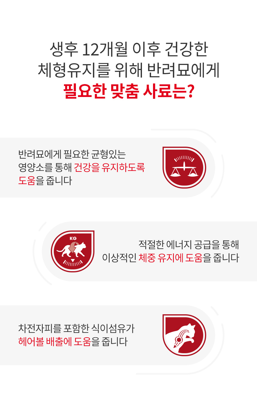 로얄캐닌 캣 피트, 1.2kg, 1개 - 상세 이미지 5