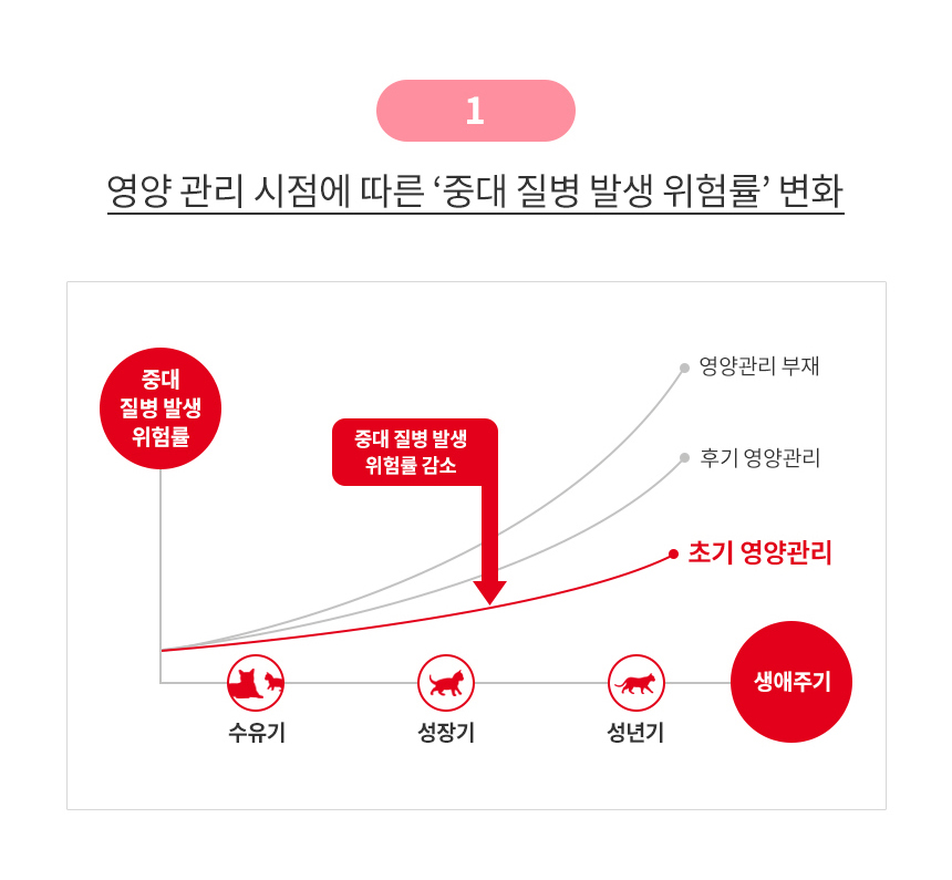 로얄캐닌 캣 키튼 마더 앤 베이비 캣 스테럴라이즈드 무스 트레이 고양이 습식사료 모음전 - 상세 이미지 3