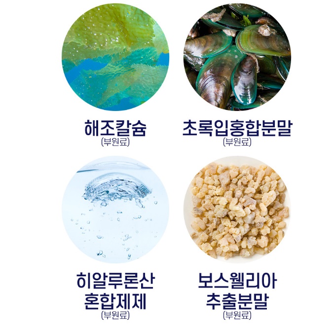 씹어먹는 콘드로이친 츄어블 코오롱 제약 콘드로이친 플러스 홈쇼핑 콘드로이친 - 상세 이미지 3