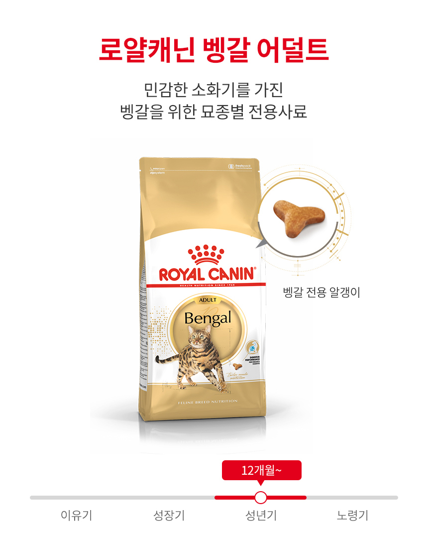 로얄캐닌 캣 뱅갈, 10kg, 1개 - 상세 이미지 4