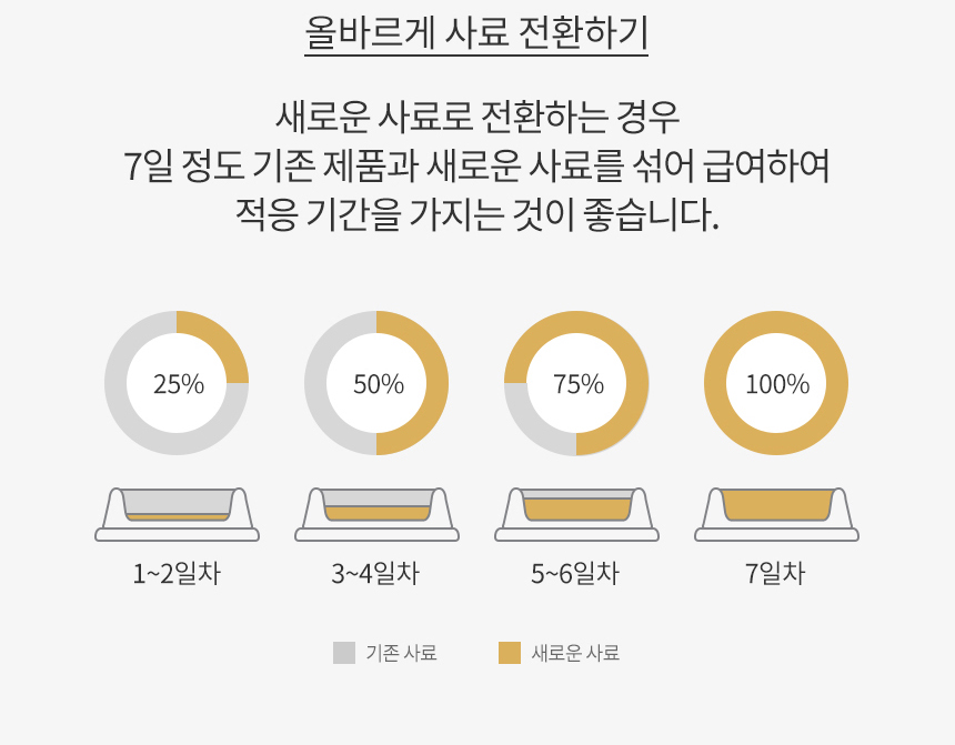 로얄캐닌 캣 뱅갈, 10kg, 1개 이미지 8