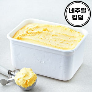 대용량 망고 샤베트 5L 아이스크림 맛있게 먹은 솔직 후기 - 상품 이미지 1