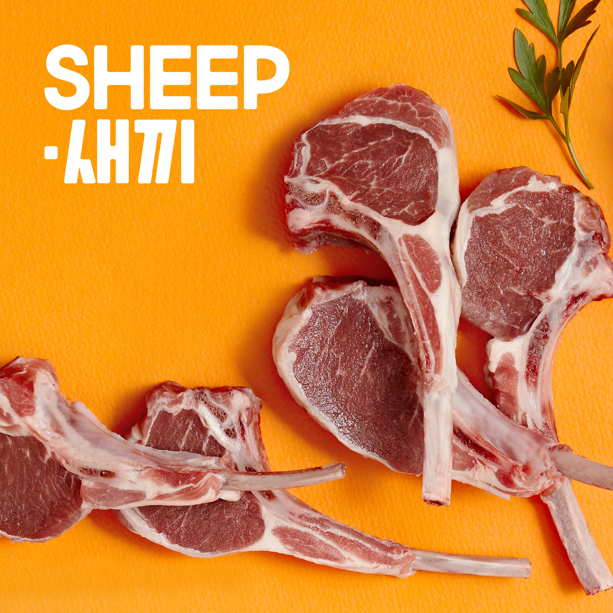 3개월미만 프렌치랙-양갈비 양고기 밀키트 캠핑 쉽새끼 목초육 프랜치랙 프렌치렉