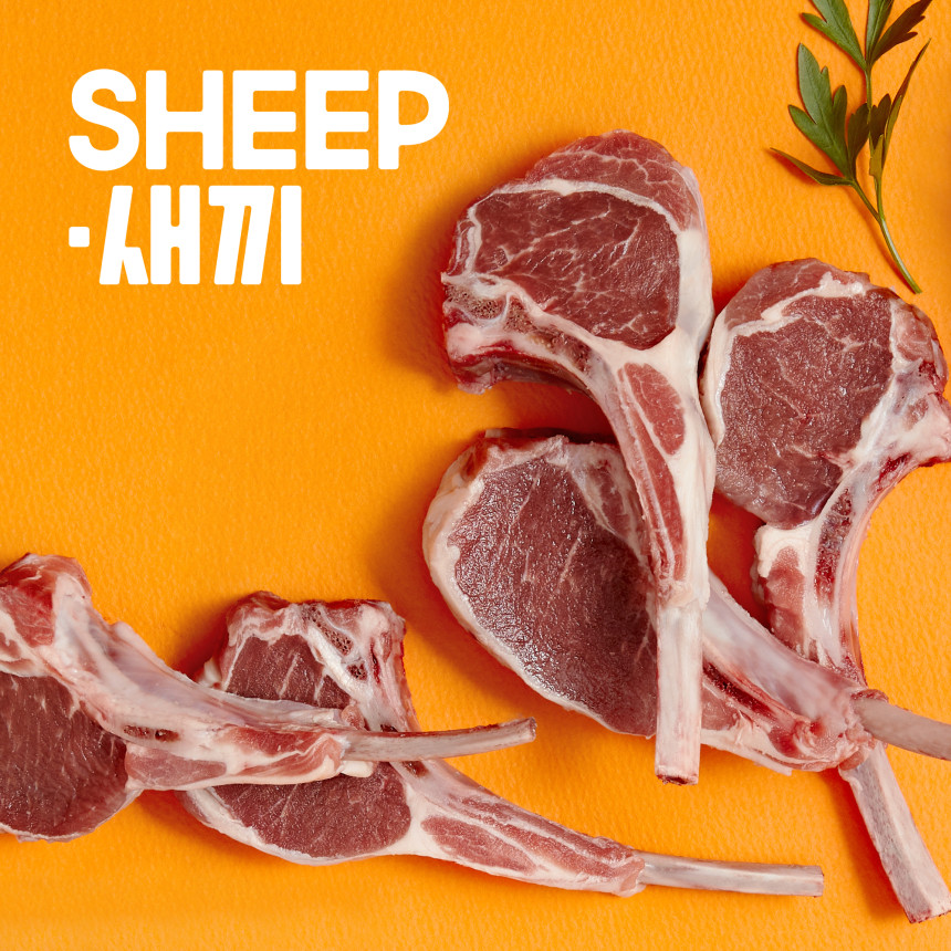 프렌치랙, 뉴질랜드 어린양 프리미엄 양갈비｜SHEEP새끼