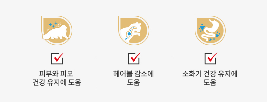 [유통기한 2026.07.18] 로얄캐닌 캣 페르시안 어덜트, 1.2kg, 1개