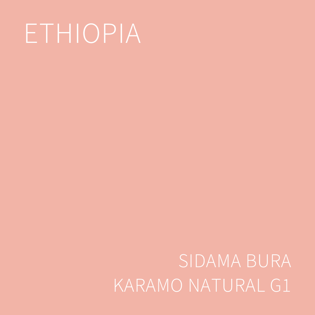 에티오피아 시다마 부라 카라모 내추럴 G1 5KG (ETHIOPIA SIDAMA BURA KARAMO NATURAL)