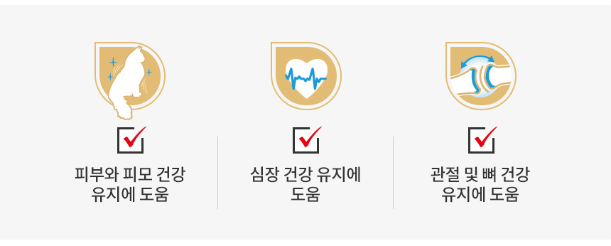 [유통기한 2027.01.24] 로얄캐닌 캣 랙돌, 400g, 1개 - 상세 이미지 5