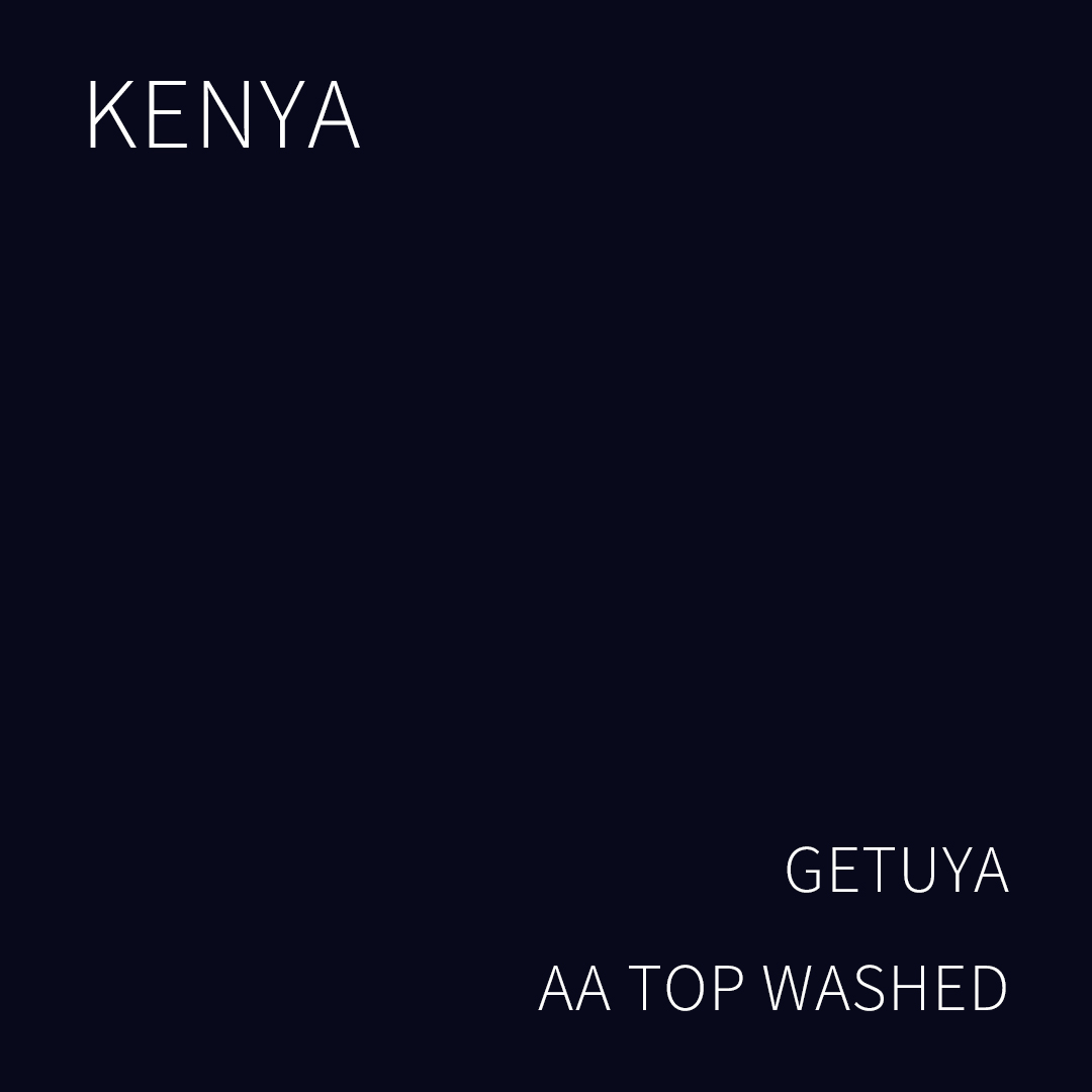 케냐 게투야 AA TOP 워시드 5KG (KENYA GETUYA AA TOP WASHED)