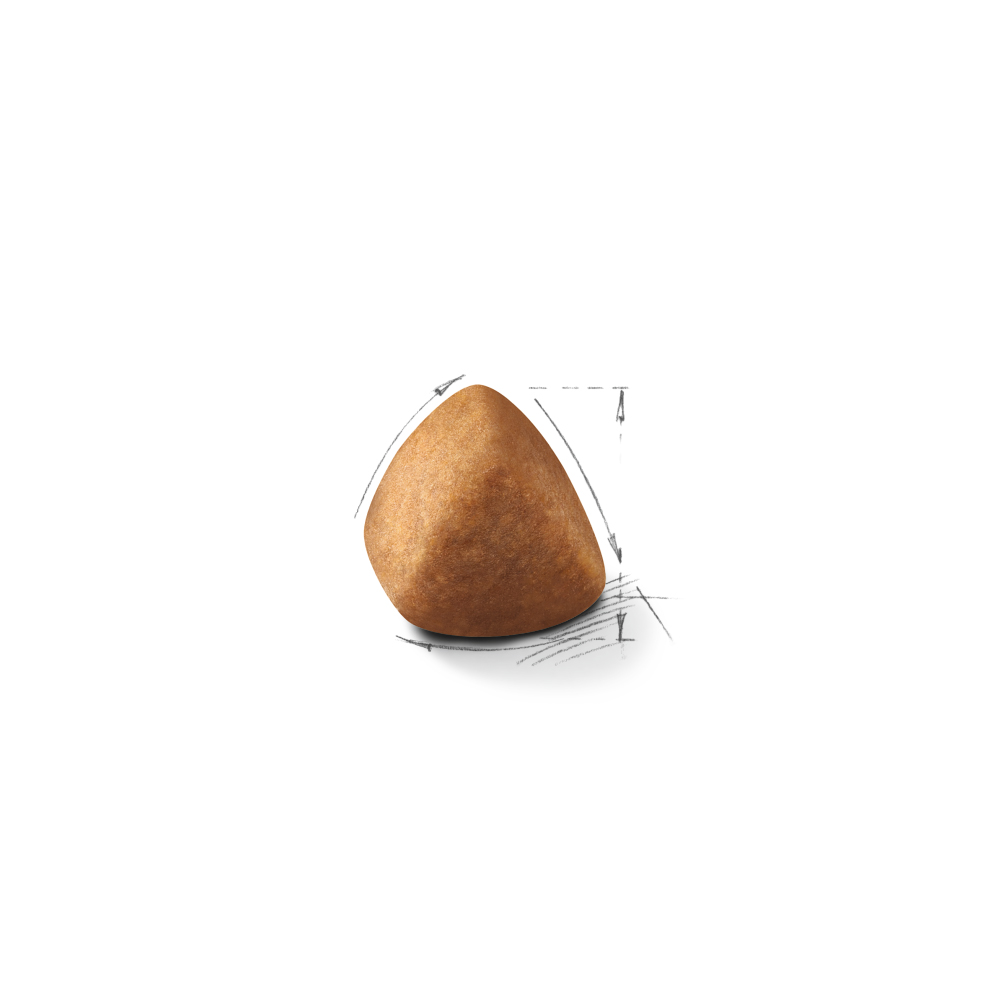 [유통기한 2027.01.24] 로얄캐닌 캣 랙돌, 400g, 1개 - 상세 이미지 2