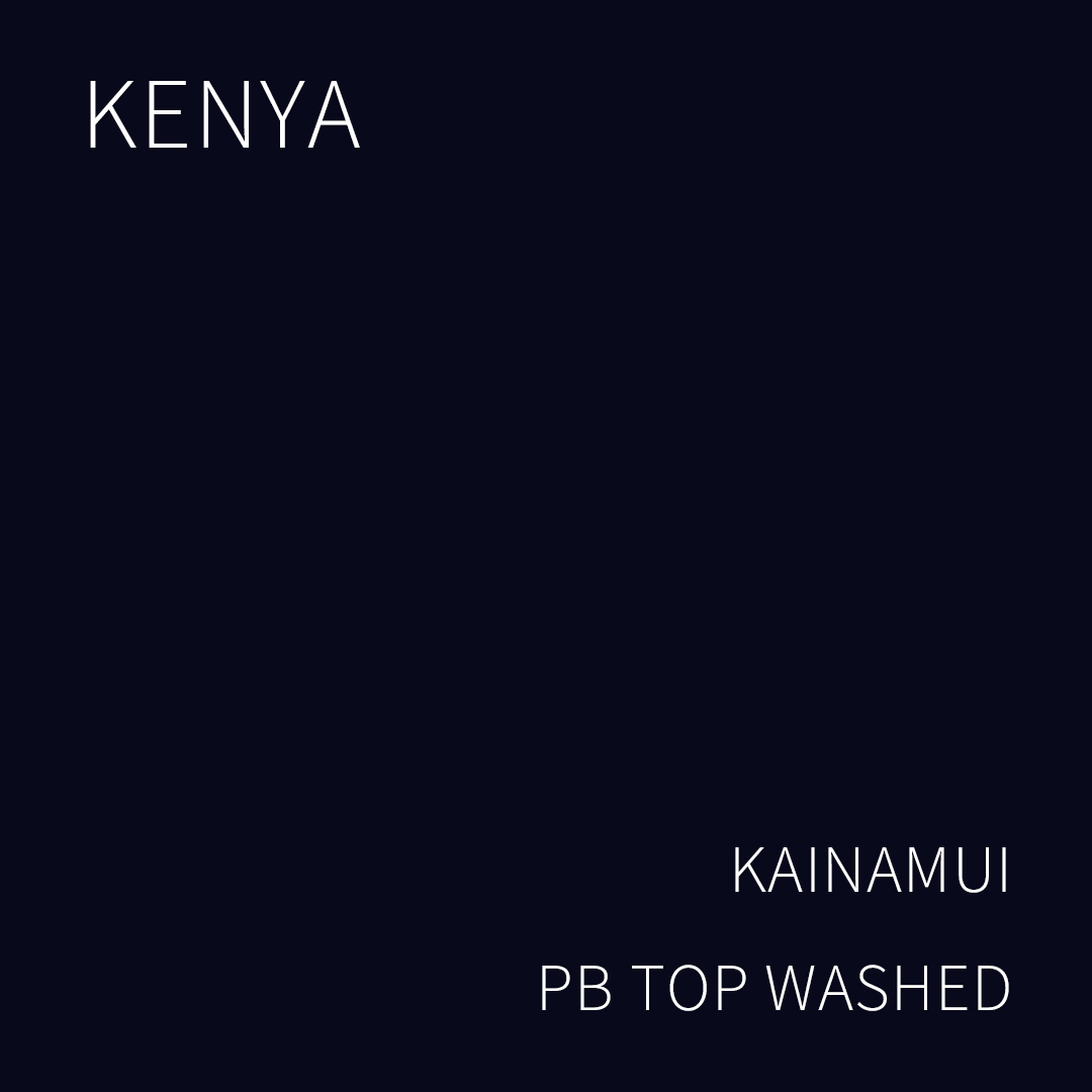 케냐 카이나무이 PB TOP 워시드 5KG (KENYA KAINAMUI PB TOP WASHED)