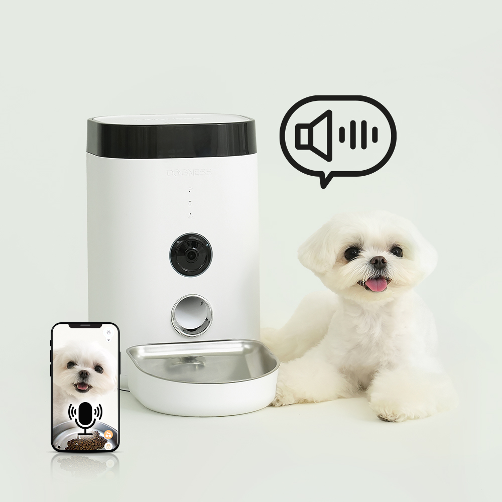 펫쭈 강아지 고양이 자동급식기 F10 스마트 펫