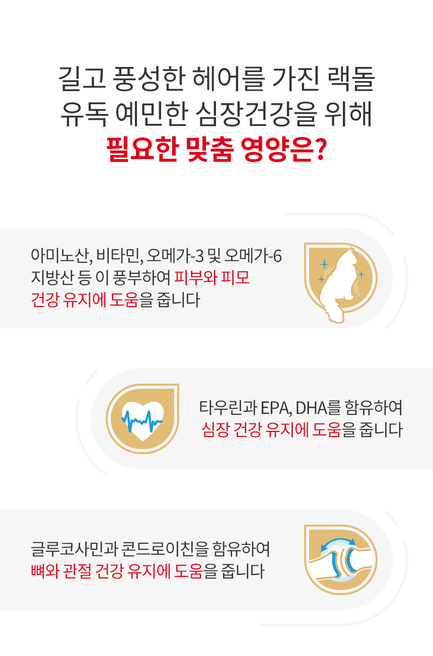 [유통기한 2027.01.24] 로얄캐닌 캣 랙돌, 400g, 1개 - 상세 이미지 4