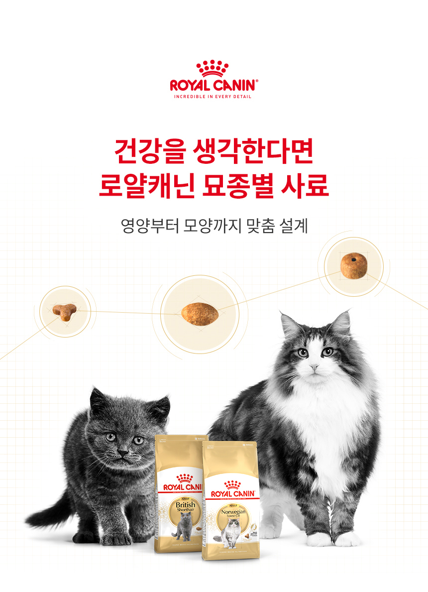 [유통기한 2027.01.24] 로얄캐닌 캣 랙돌, 400g, 1개 - 상세 이미지 4