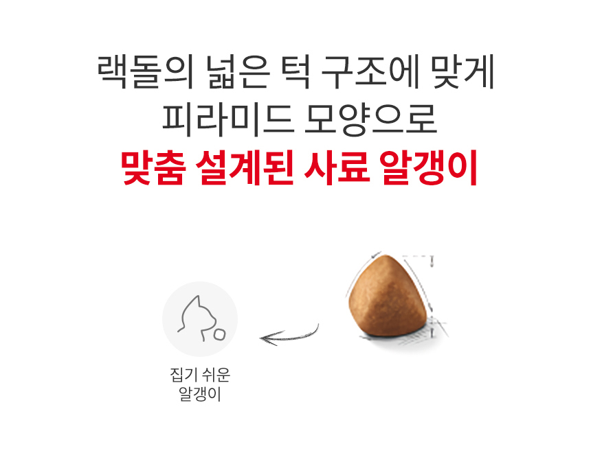 [유통기한 2027.01.24] 로얄캐닌 캣 랙돌, 400g, 1개 - 상세 이미지 3
