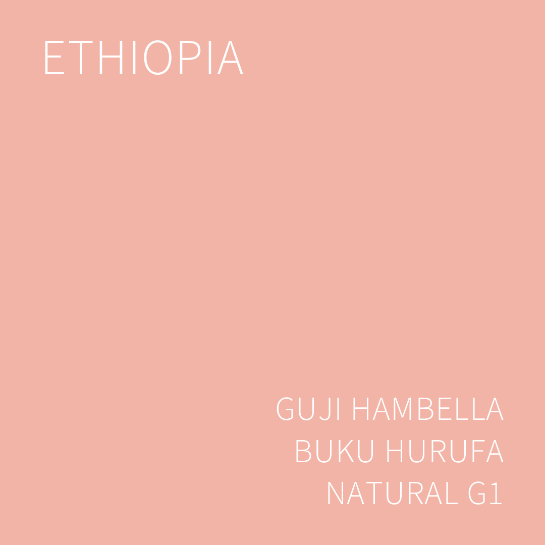 에티오피아 구지 함벨라 부쿠 후루파 내추럴 G1 1KG (ETHIOPIA GUJI HAMBELLA BUKU HURUFA NATURAL)