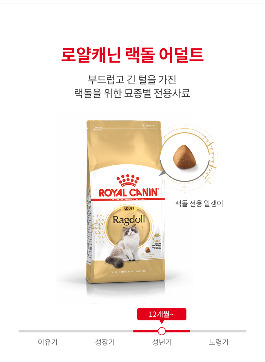 [유통기한 2027.01.24] 로얄캐닌 캣 랙돌, 400g, 1개 이미지 6