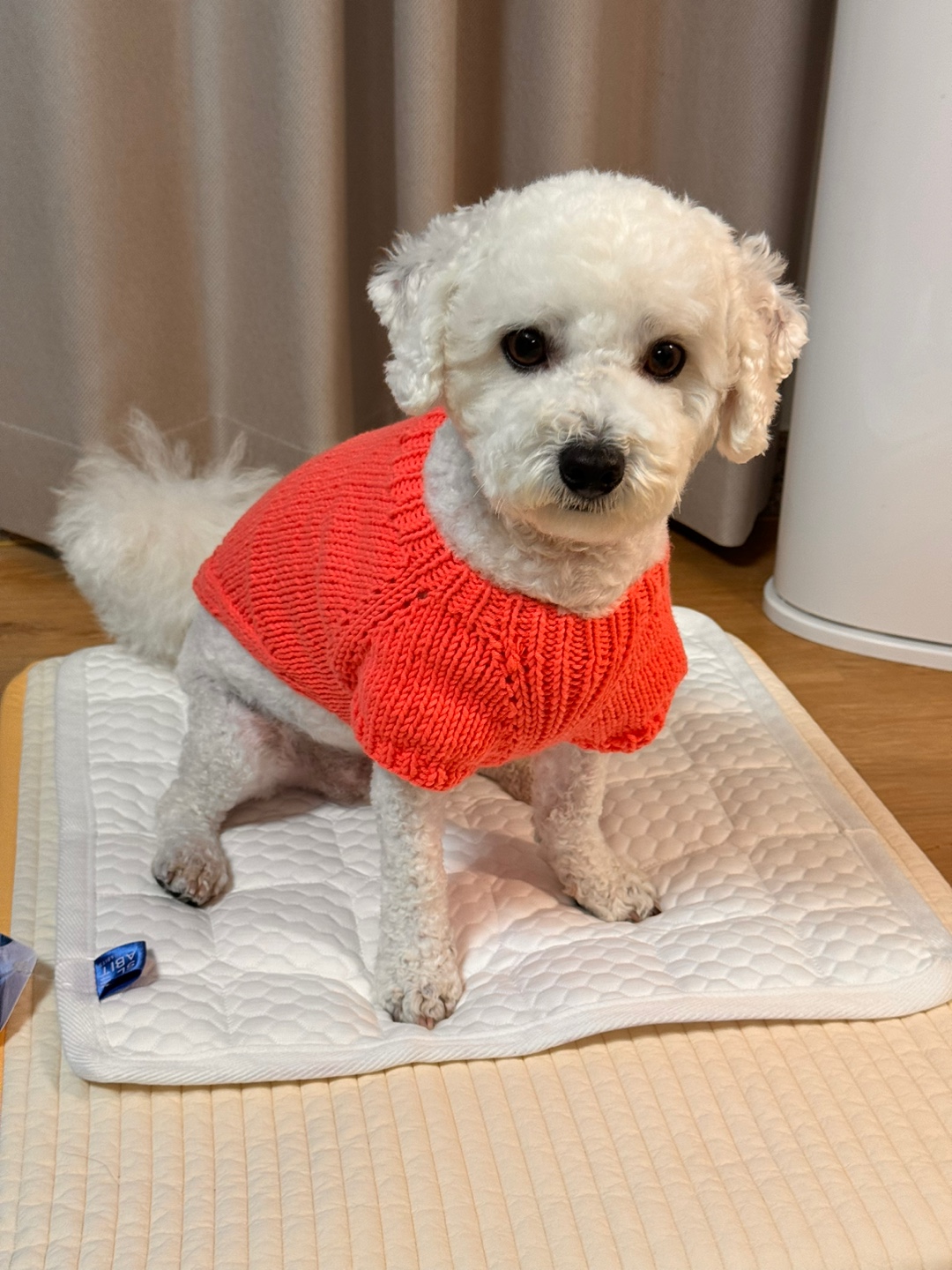 슬래빗 냉감방석 쿨링 쿨 시원한 의자 얼음 여름 듀라론방석