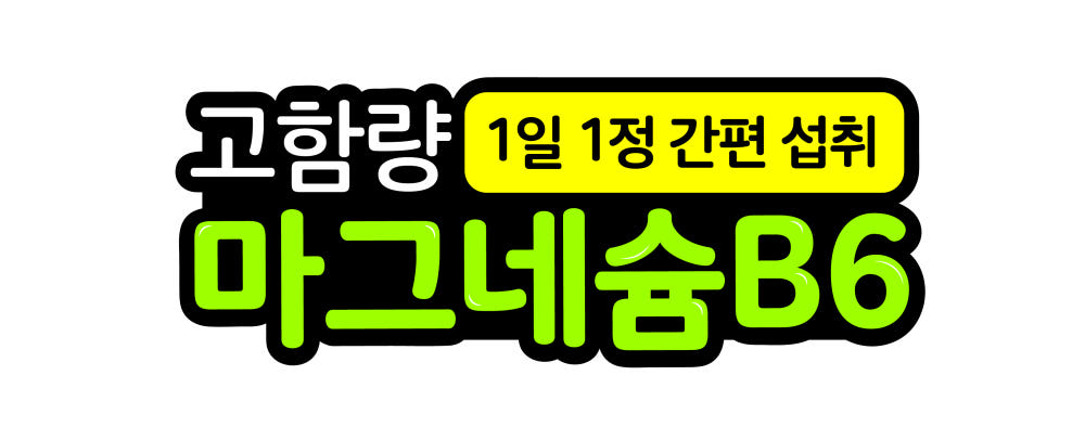 마그네슘 350 플러스 B6