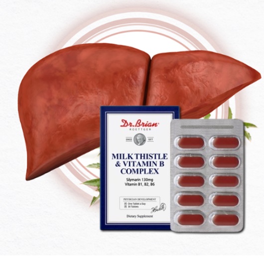 간에 좋은 비타민 밀크씨슬 피곤할 때 영양제 밀크시술