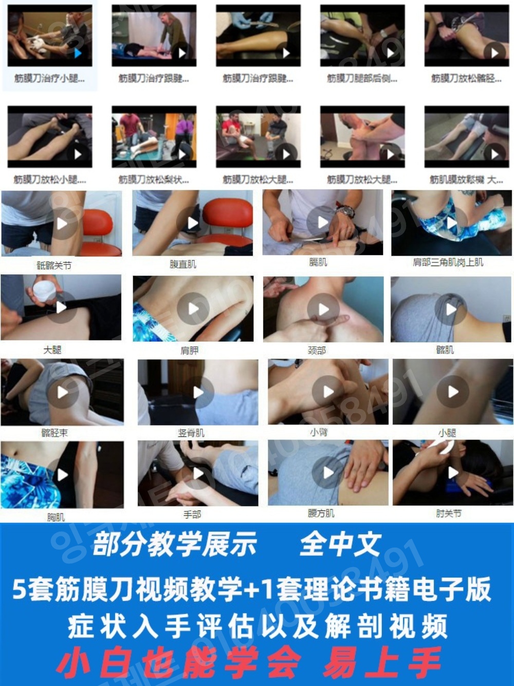 근막이완도구 마사지기기 스텐 괄사 마사지 근육 헬스 - 상세 이미지 5