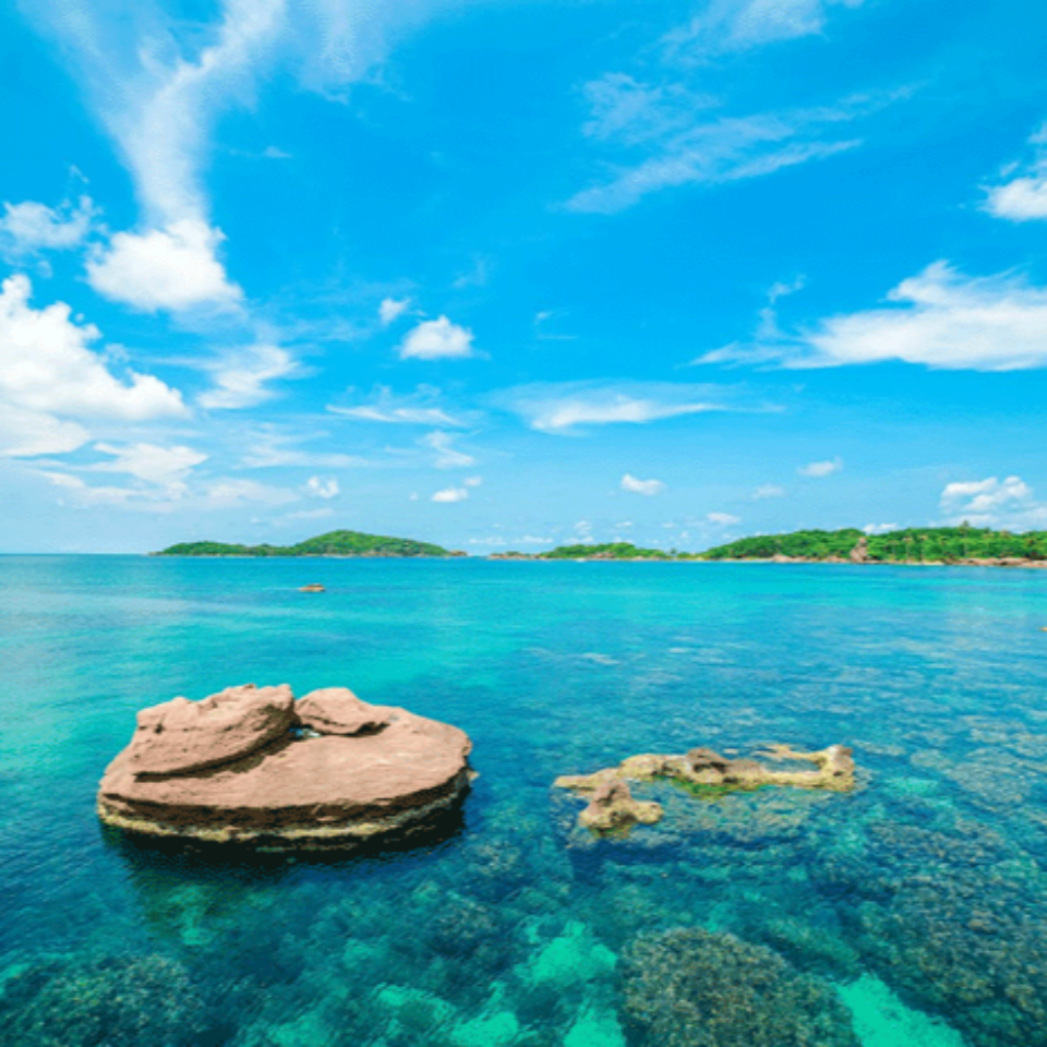 [스냅촬영+스노클링] 푸꾸옥 스노쿨링 시그니처 호핑투어 혼똠섬 케이블카 (픽업샌딩 포함)