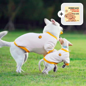 대형견옷 강아지 맨투맨 기모 티셔츠 실내복 중형견옷 리트리버 솔직 후기 | 실제 사용자 리뷰 총정리 - 상품 이미지 1