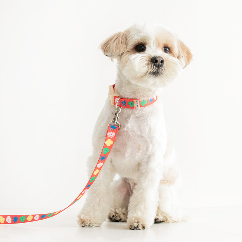 바잇미X피피피스튜디오 강아지 리드줄 산책줄 핸즈프리 리쉬 2 colors 이미지 2