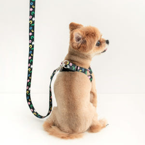 바잇미X피피피스튜디오 강아지 리드줄 산책줄 핸즈프리 리쉬 2 colors 솔직 후기 | 실제 사용자 리뷰 총정리 - 상품 이미지 3