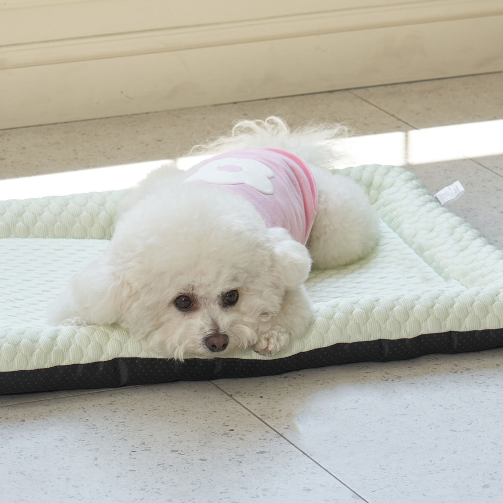 개과천선 여름용 쿨러시 방석 쿠션 강아지 애견 침대 이미지 6