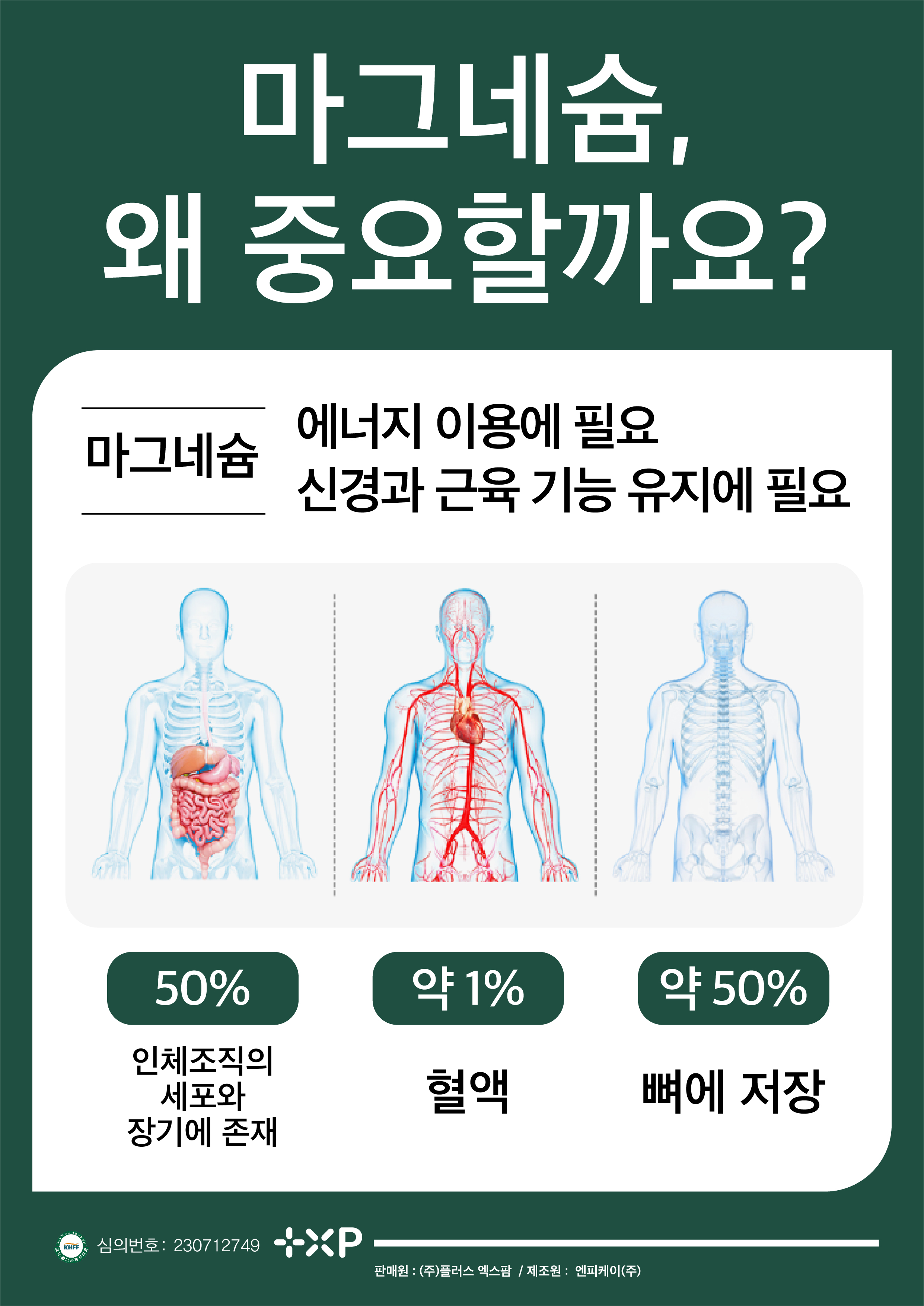 마그네슘 350 플러스 B6 근육 이완에 좋은 산화 흡수 빠른 고함량 글루콘산 영양제 - 상세 이미지 3