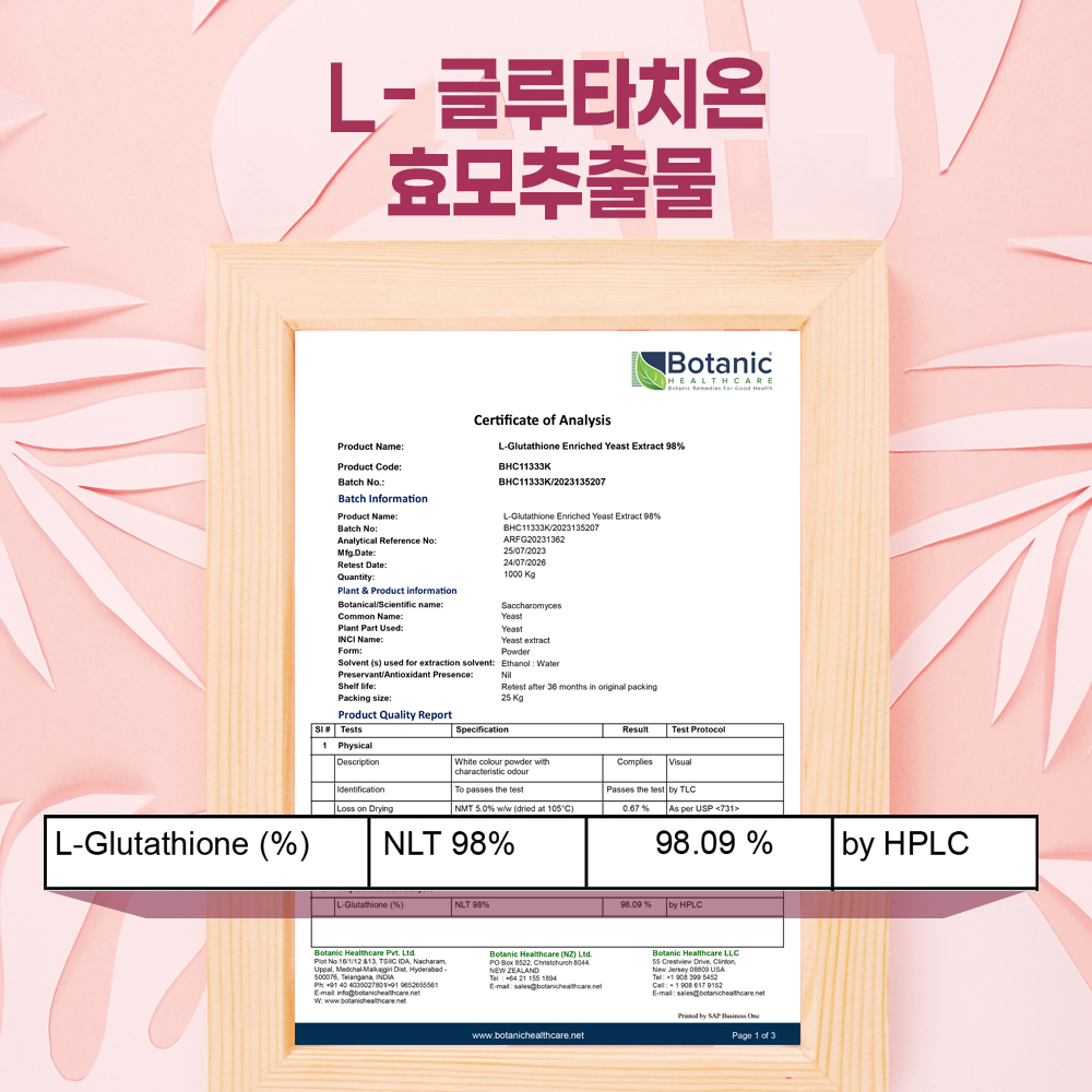 화이트 토마토 엘라스틴 글루타치온 식약처 HACCP 인증 파우더 가루 분말 200g - 상세 이미지 5