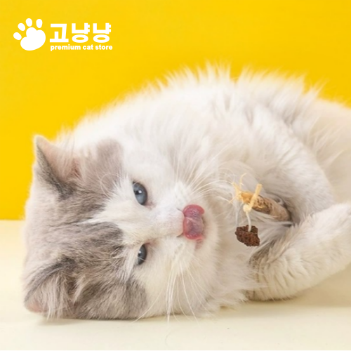 고냥냥 고양이 마따따비 이갈이 장난감 혼자 장남감 이미지 3