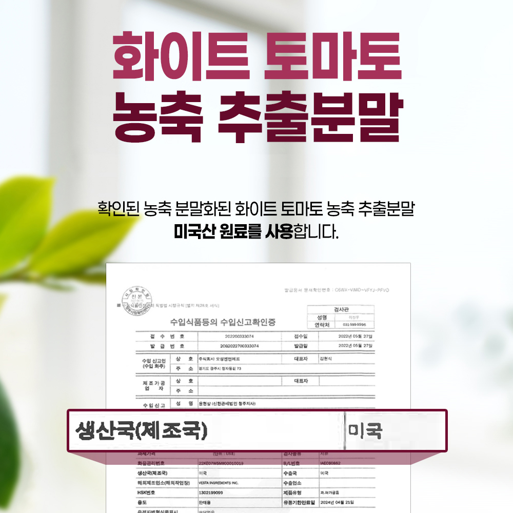 화이트 토마토 엘라스틴 글루타치온 식약처 HACCP 인증 파우더 가루 분말 200g 이미지 6