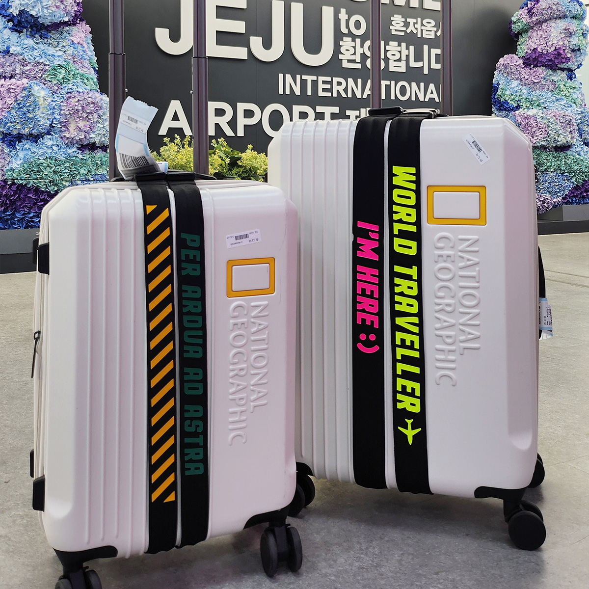 캐리어 네임택 밴드 러기지택 여행 가방 벨트 이름표 커스텀 제작