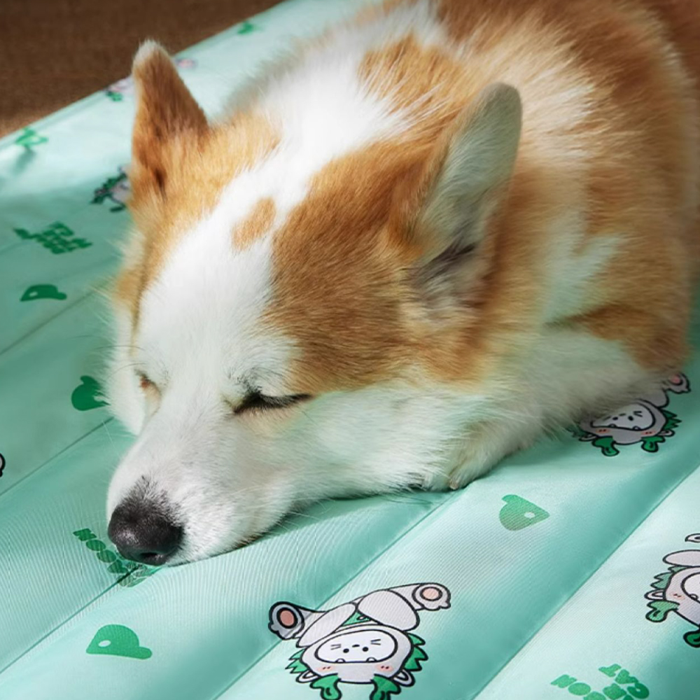 강아지쿨매트 반려견 여름 쿨링 방석 바닥 매트 패드 아이스 침대
