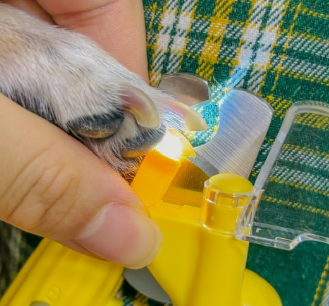 그램도그 강아지 고양이 LED 발톱깎이 애견 그라인더