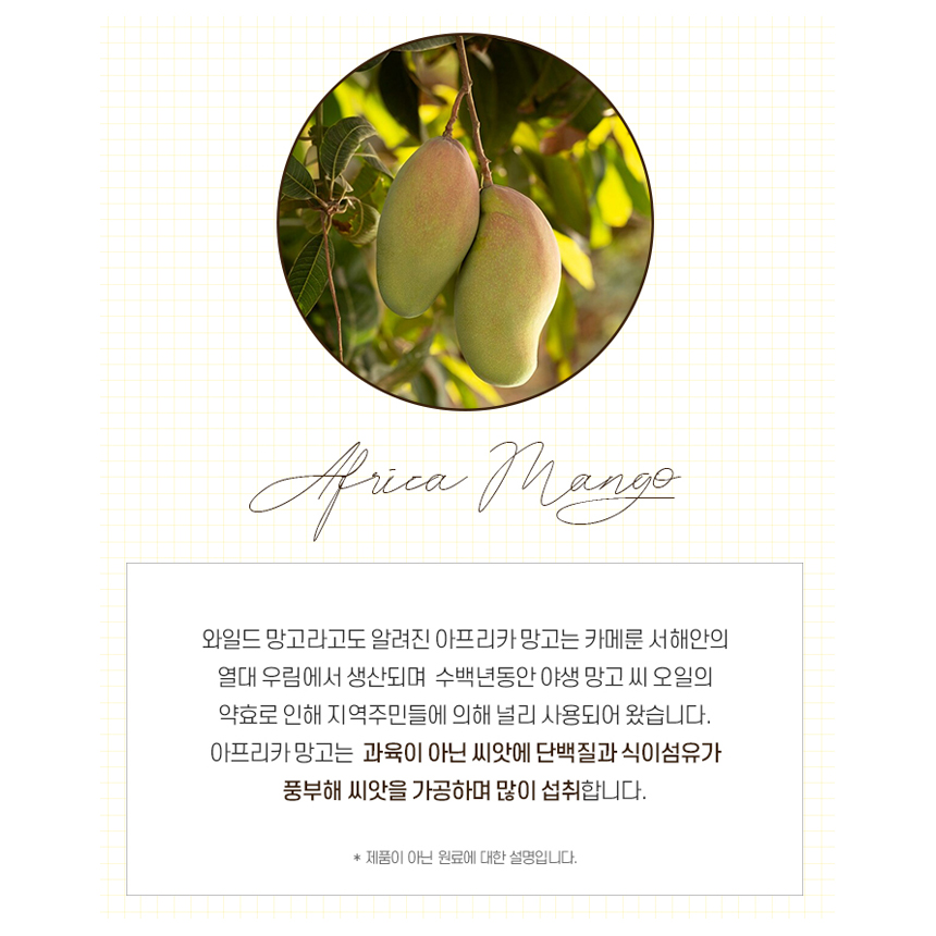 와일드 망고 종자 아프리카망고 씨앗 추출물 분말 정 미국산 - 상세 이미지 5