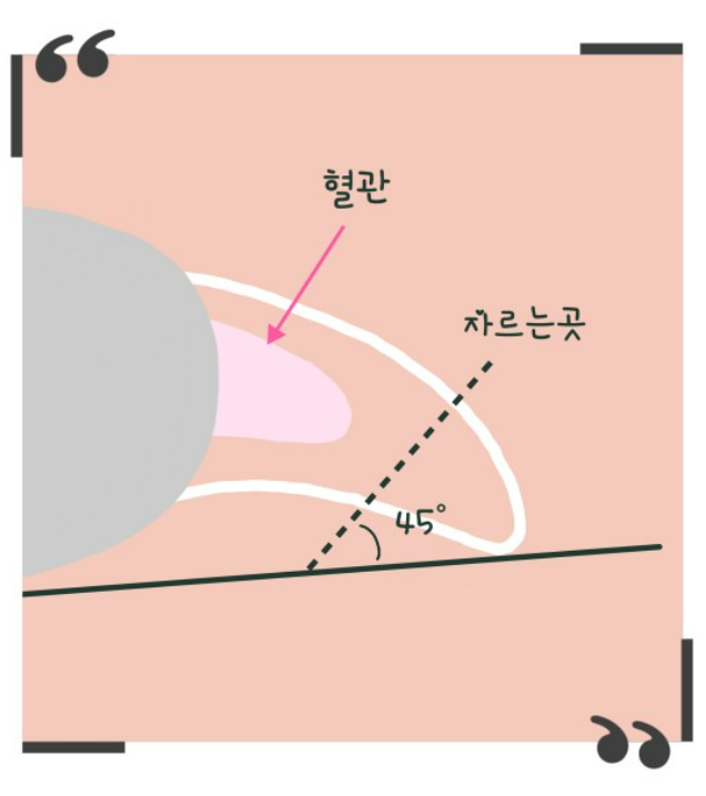 그램도그 강아지 고양이 LED 발톱깎이 애견 그라인더
