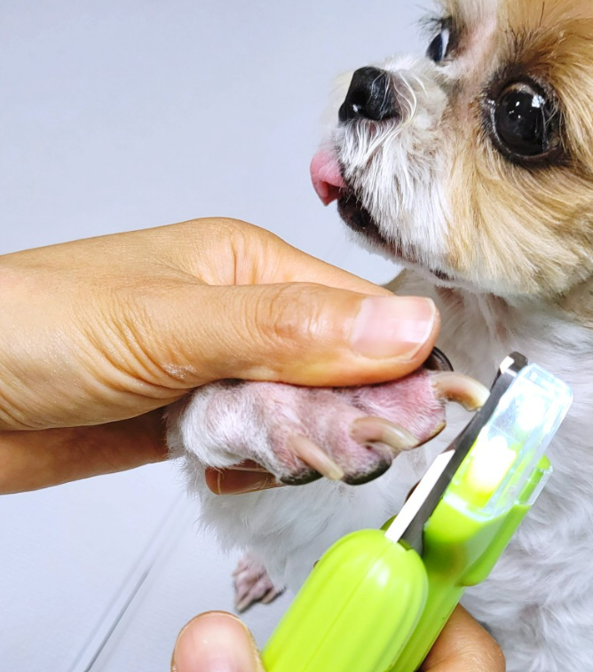 그램도그 강아지 고양이 LED 발톱깎이 애견 그라인더