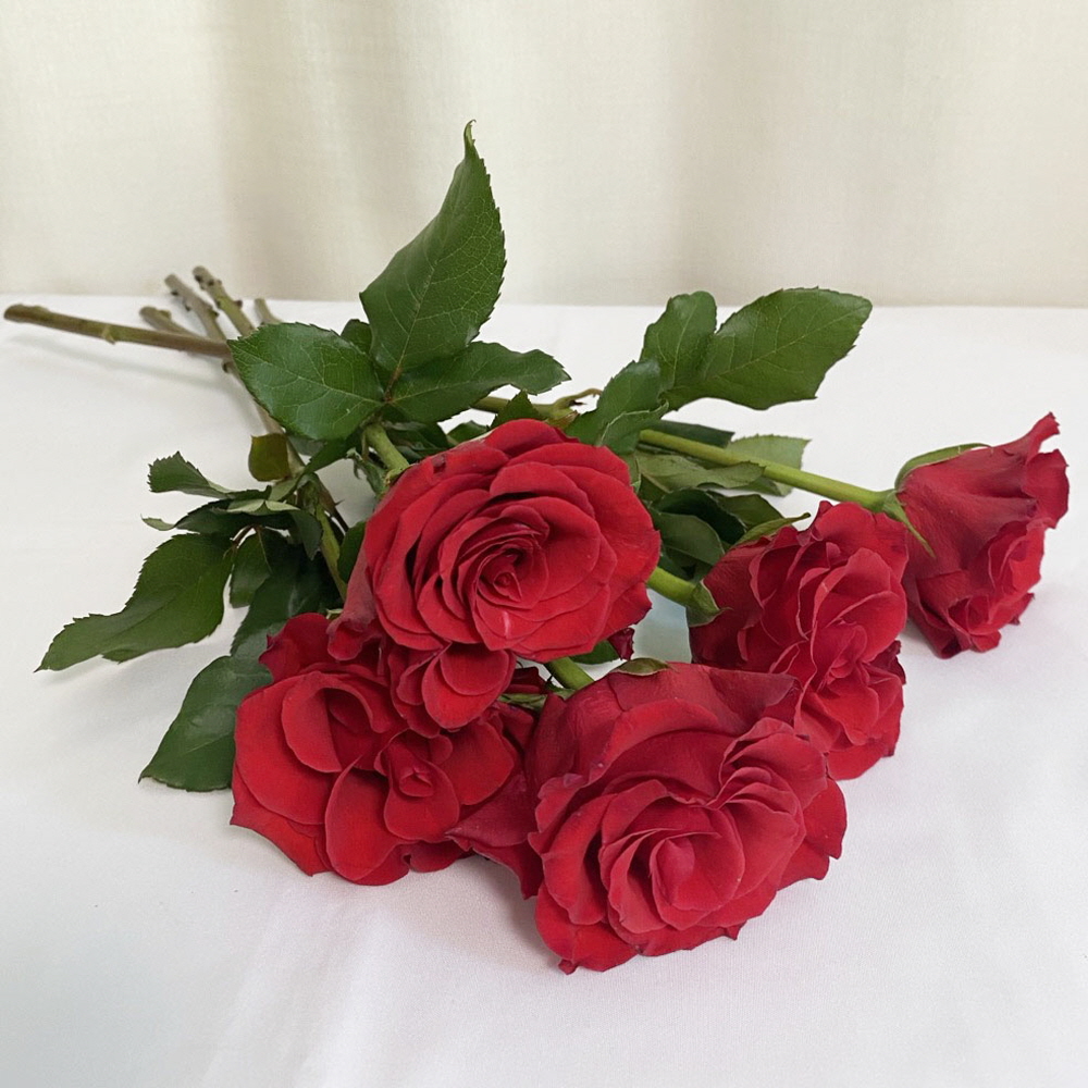 빨간장미 5송이 생화 푸에고 장미 성년의날 꽃배달 싼곳 - 상세 이미지 4