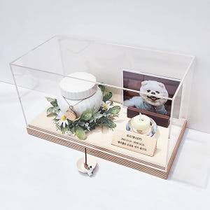 추모함 2 자작나무 아크릴 케이스 반려동물 유골함 스톤 보관 함 강아지 ... 솔직 후기 | 실제 사용자 리뷰 총정리 - 상품 이미지 1