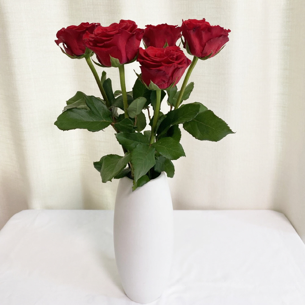 빨간장미 5송이 생화 푸에고 장미 성년의날 꽃배달 싼곳 - 상세 이미지 5
