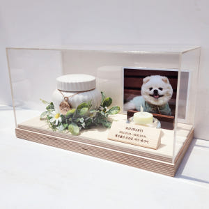 추모함 2 자작나무 아크릴 케이스 반려동물 유골함 스톤 보관 함 강아지 ... 솔직 후기 | 실제 사용자 리뷰 총정리 - 상품 이미지 3