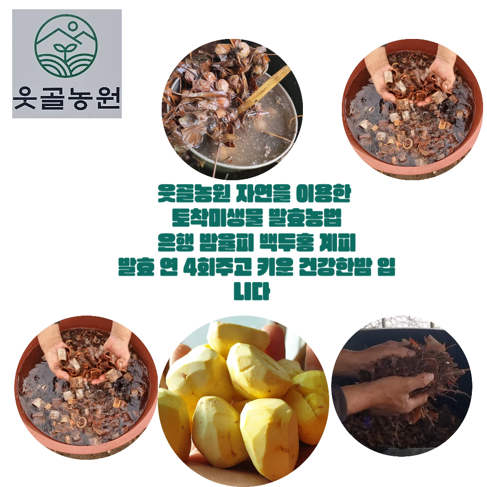 유기농밤 햇밤 깐밤 1kg 부여밤 생율에어프라이군밤 이미지 8