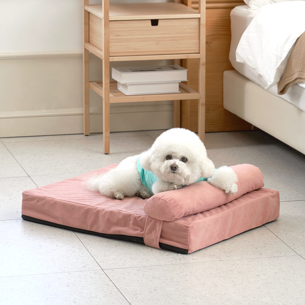 개과천선 독뱃 애견 강아지 방석 쿠션 소파 매트 베개 집 대형견 펫 반려견 침대