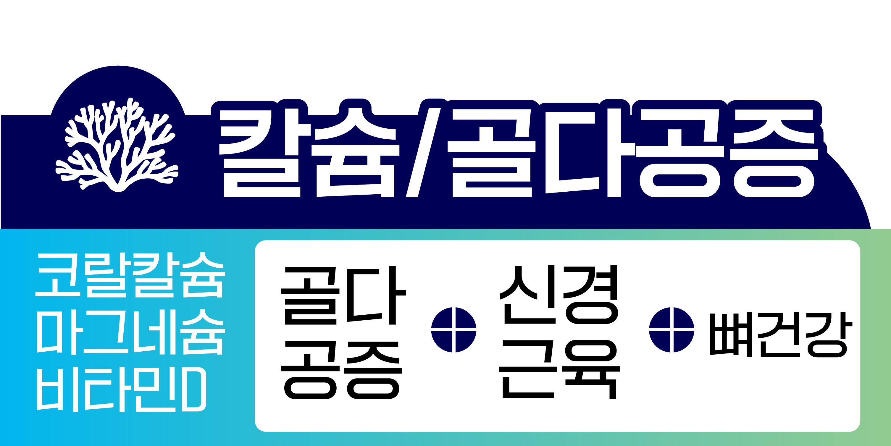 코랄칼슘 마그네슘 비타민D 유청칼슘 비소성칼슘 산호칼슘 120정 x 6개 이미지 8