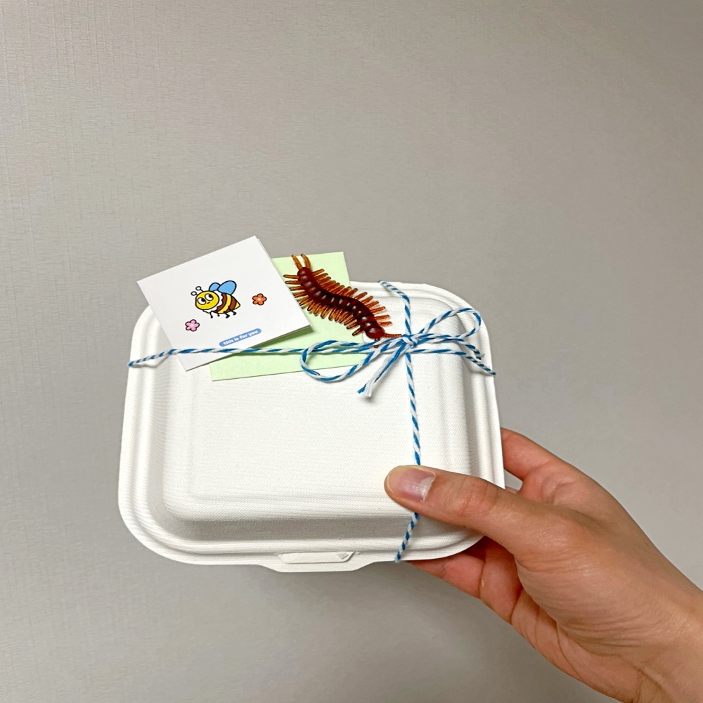 쓸데없는 쓸모없는 킹받는 웃긴 신박한 병맛 깜짝 반전 선물 바퀴벌레 지네 벌레 모형 상자 이미지 6