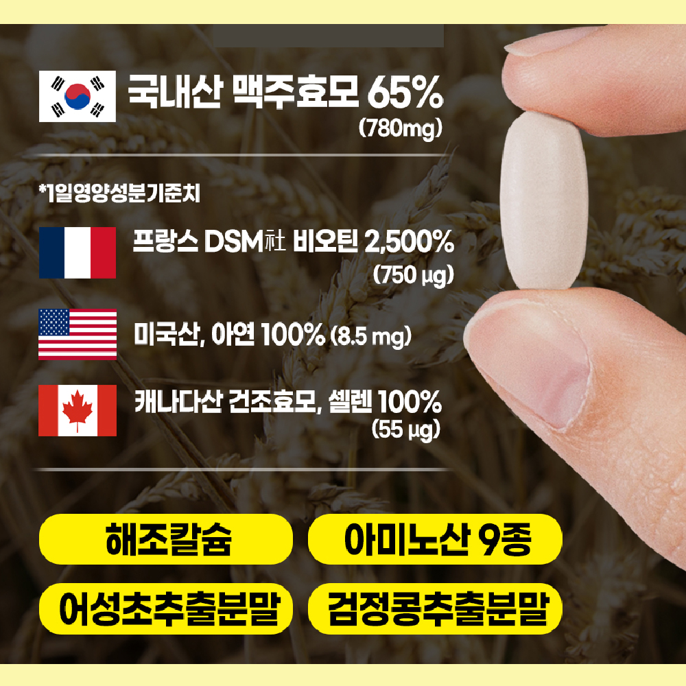 맥주 효모 비오틴 골드 케어 식약처 HACCP 인증 90정 - 상세 이미지 5