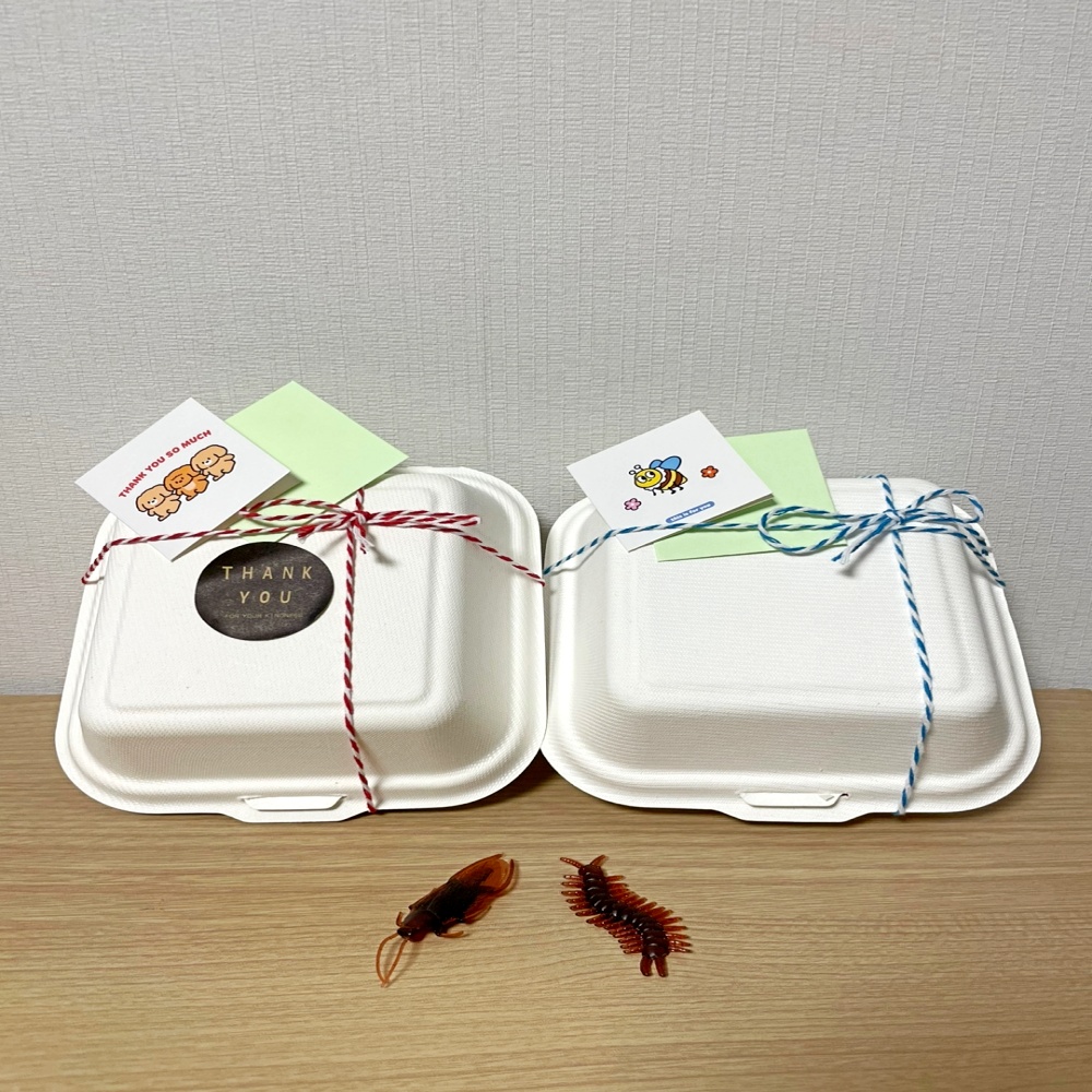 쓸데없는 쓸모없는 킹받는 웃긴 신박한 병맛 깜짝 반전 선물 바퀴벌레 지네 벌레 모형 상자 - 상세 이미지 4