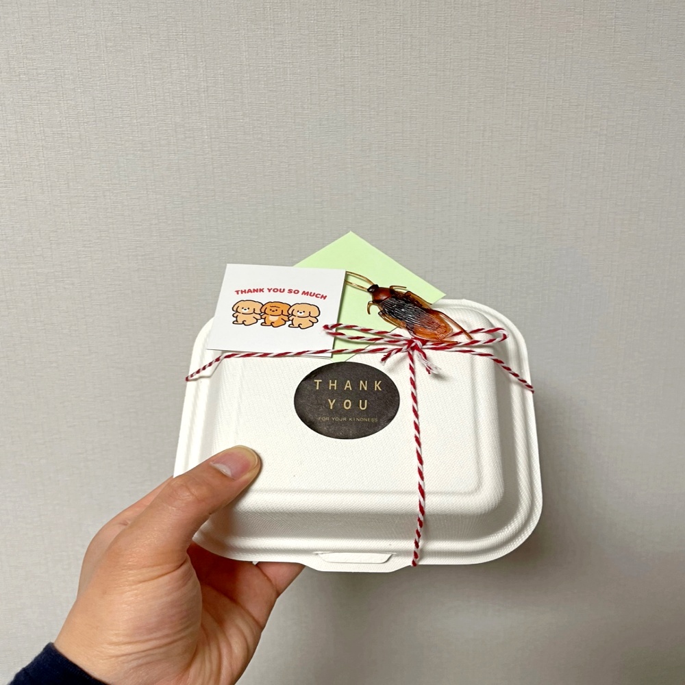 쓸데없는 쓸모없는 킹받는 웃긴 신박한 병맛 깜짝 반전 선물 바퀴벌레 지네 벌레 모형 상자 - 상품 이미지